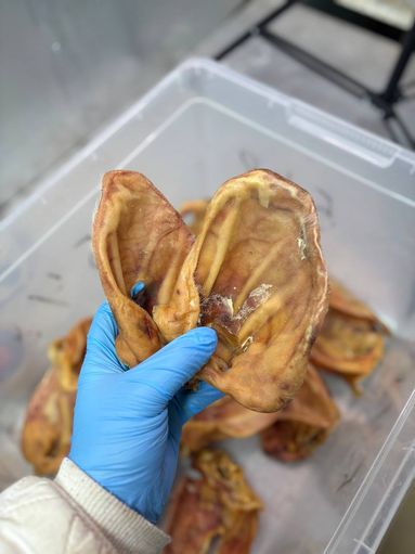 Уши свиные. Уши свиные