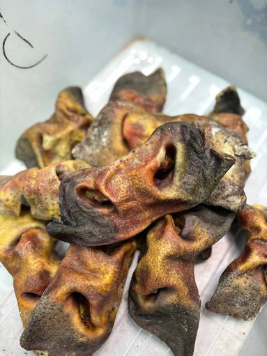 Носы говяжьи. Носы говяжьи