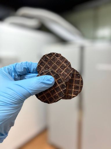 Медальоны из говяжьего легкого и рубца. Легкое говяжье, рубец говяжий