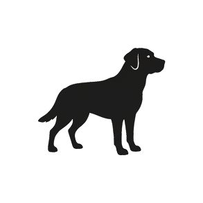 больше 25 кг